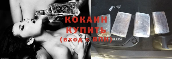 apvp Новозыбков