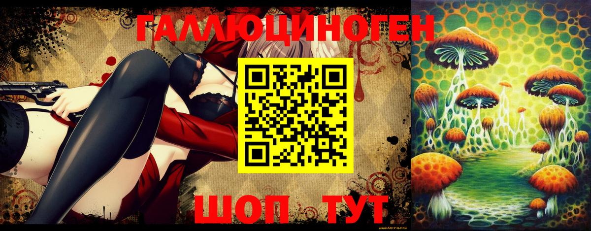 Псилоцибиновые грибы Psilocybe Нарьян-Мар