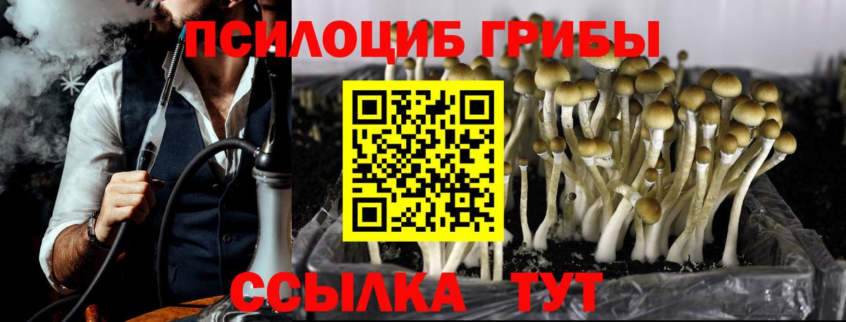 Галлюциногенные грибы Psilocybe  купить наркоту  Нарьян-Мар  Вход с VPN 