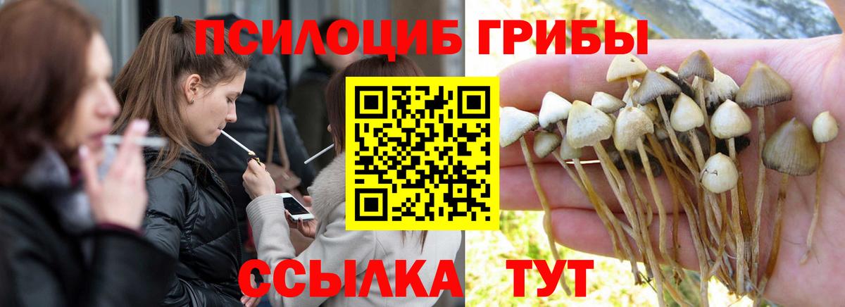 Галлюциногенные грибы Magic Shrooms Нарьян-Мар