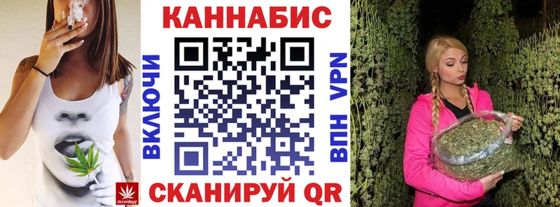 Каннабис планчик Нарьян-Мар